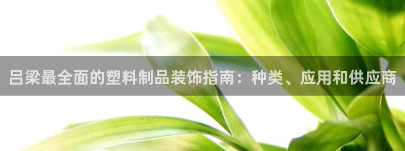 太阳地产老板：吕梁最全面的塑料制品装饰指南：种类、应用和供应